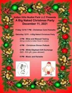 The Big Naked Christmas Party